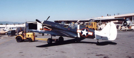 Lovely P40